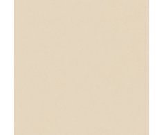 Del Conca Bioterre HBE1 Soia 120x120 Matt. Rett.