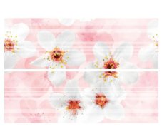 Brennero Bloomy Fiory di Sakura 25x75