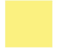 41zero42 Pixel Lemon 11,55x11,55