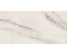 Marca Corona Motif Extra C.Silver 60x119,5 Reflex