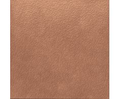 APE Argillae Nisus Coral 120X120 Rett.