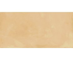 La Fenice Touch Evo Gold 60x120 Matt. Rett.