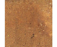 Sant Agostino Pixel Sienna 10x10 Luc. Rett.