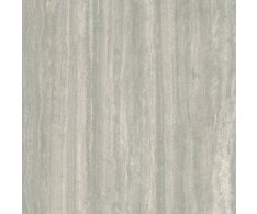 Caesar Iconica Silver Verso 120x120 Matt. Rett.