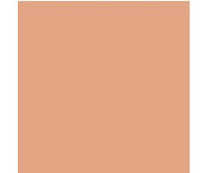 41zero42 Pixel Nude 11,55x11,55
