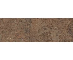 EdimaxAstor Melt Oxyd 10x30