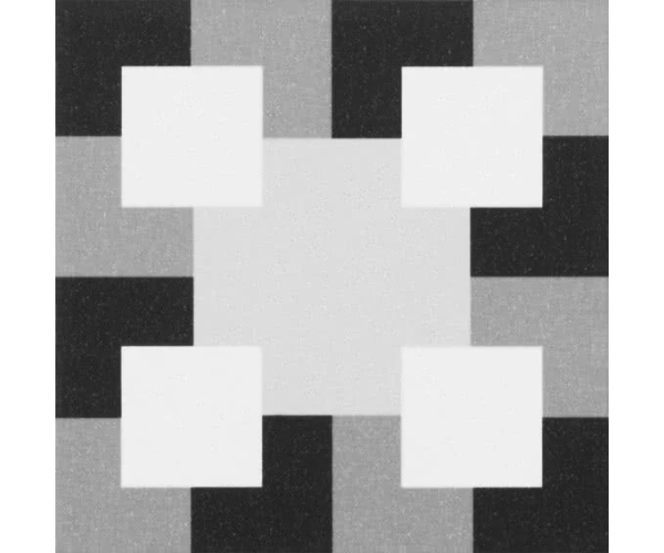 Vzorovaná dlažba APE Eternia Europa Negro 20X20 (1. jakost) (skladem)