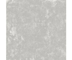 Codicer Evoque Grey 25x25
