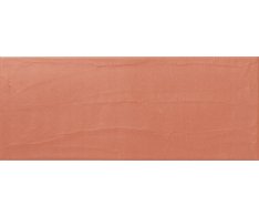 APE This is Coto 20x50
