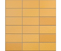 Appiani Anthologhia Mimosa 30x30 (5x10)