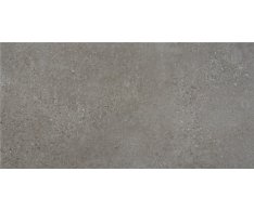 Alaplana Rodas Gris 60X120 Mat. Rett.