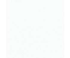 Xclusive Element Bianco 20,5x20,5