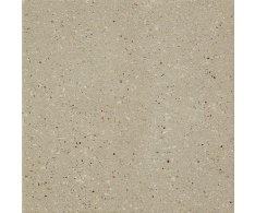 Cir Forever Color Beige Pepper 20x20 Matt.