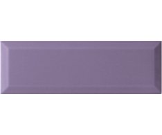 APE Loft Viola 10x30