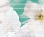 Luxusní dekor Brennero Bloomy Jasmine 25x75