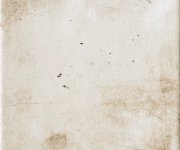 Dlažba jako beton CIR Miami White Rope 20x20 - béžová