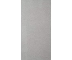 La Fenice Piazentina Argento Spazziolato 37,5x75