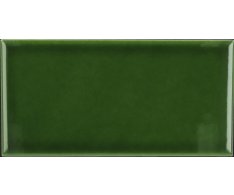 Equipe Evolution Victorian Green 7,5x15