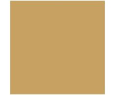 41zero42 Pixel Curry 11,55x11,55