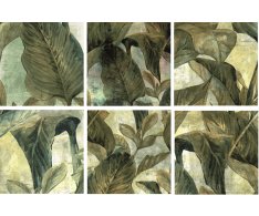 Da Vinci Porcelain Botanic Decor 20x20