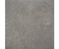 Alaplana Rodas Gris 100X100 Mat. Rett.