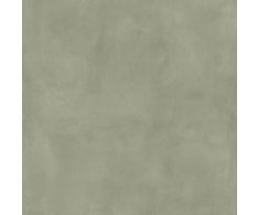 Marca Corona Multiforme Lichene 120x120 Nat. Rett.