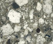Dlažba jako terrazzo Sant Agostino Venistone Emerald 60x60