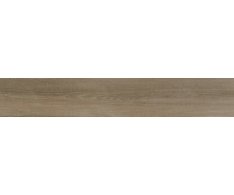 Polis Spezie Cardamomo 20x120 RT
