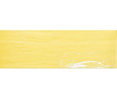 Brennero Bloomy Acqua Yellow 25x75 Lucida