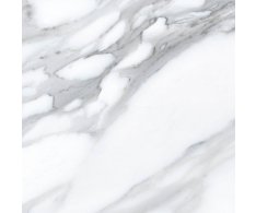 Codicer Apuan Bianco 66x66