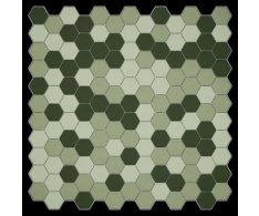Appiani Eden Mix4 30x30 Hexagon Matt.
