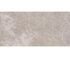 EdimaxAstor Golden Age Grey 60x120 Matt. Rett.