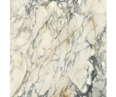 Del Conca Premiere HPM10 Paonazzo 120x120 Lux. Rett.