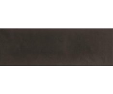 Absolut Milano Monocolor Grafit Brillo 10x30