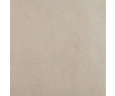 Ecoceramic Norwich Arena 60 x 60 Rect.