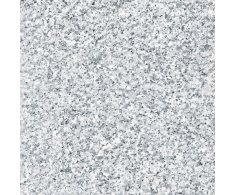 Codicer Granite White 50x50