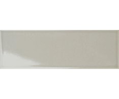 Tonalite Silk Polvere 10x30