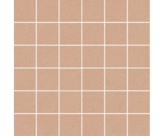 Del Conca Bioterre HBE6 Terra Mosaico 30x30 Matt. Rett.