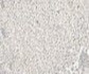 Sant Agostino Metastone Fog 10x120 Nat. Rett. obr.4