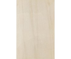 Caesar Portraits Faro 60x90 Rett. (tl. 20mm)