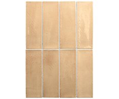 Equipe Miyako Golden Ochre Gloss 5x15 Luc.