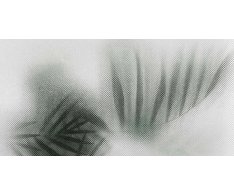 Flaviker Art Walls Beyond 60x120 Luc. Rett.