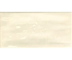 Tonalite Joyful Bone  10x20 