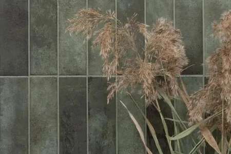 Tonalite Foliage Verde 6x24,6