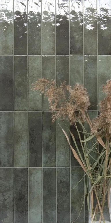 Realizace Tonalite Foliage Verde 6x24,6