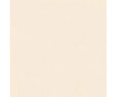 Sant Agostino Insideart Color Light 120x120 Nat.