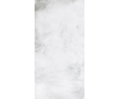Caesar Alchemy Frozen 60x120 RT