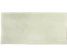 Grazia Essenze Felce 6,5x13 Luc.