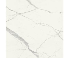 Marca Corona Scultorea Statuario Vena Argento 120x120 Velvet Rett.