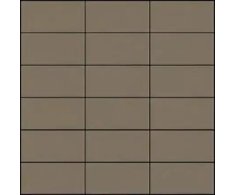 Appiani Seta Bruno 30x30 (5x10) Matt.